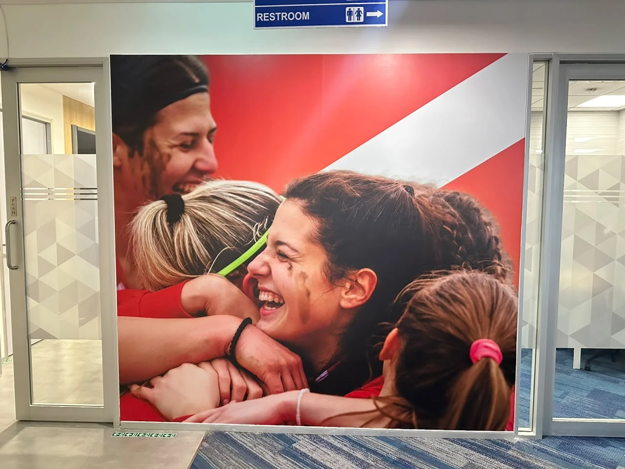 Large Format Wall Graphic by Anurag Enterprises
