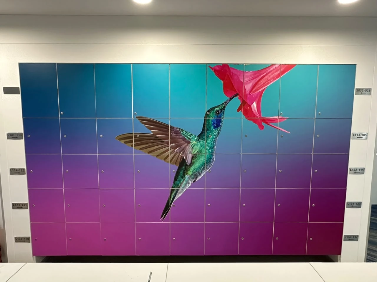 Colorful Office Wall Graphic by Anurag Enterprises
